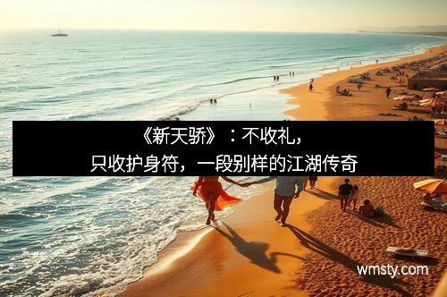 《新天骄》：不收礼，只收护身符，一段别样的江湖传奇